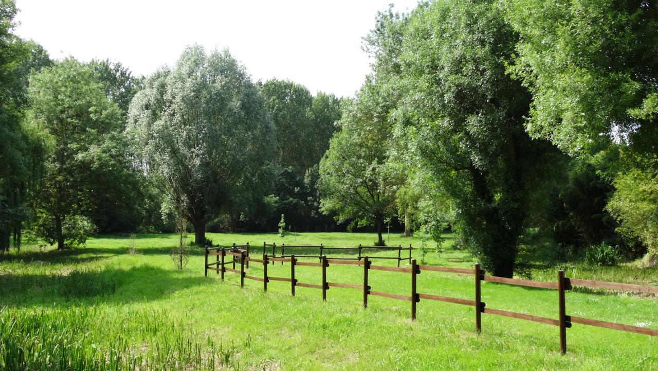 Bed and Breakfast Moulin De Reigner Anché Zewnętrze zdjęcie